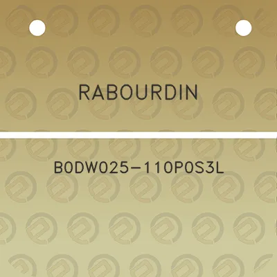 rabourdin-b0dw025-110p0s3l