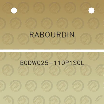 rabourdin-b0dw025-110p1s0l