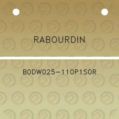 rabourdin-b0dw025-110p1s0r