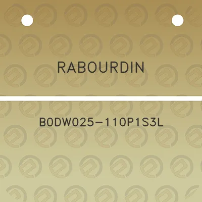 rabourdin-b0dw025-110p1s3l