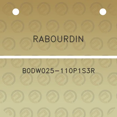 rabourdin-b0dw025-110p1s3r