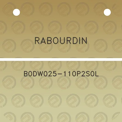 rabourdin-b0dw025-110p2s0l