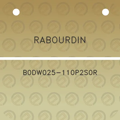 rabourdin-b0dw025-110p2s0r