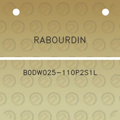 rabourdin-b0dw025-110p2s1l