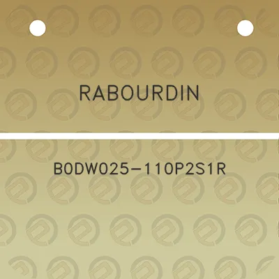 rabourdin-b0dw025-110p2s1r