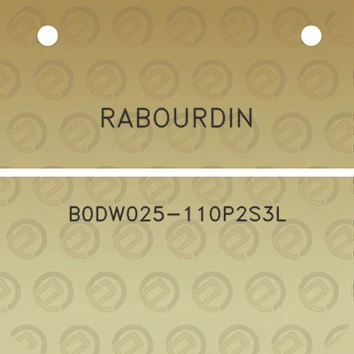 rabourdin-b0dw025-110p2s3l