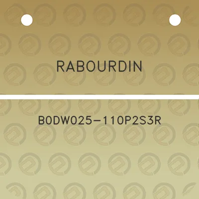 rabourdin-b0dw025-110p2s3r