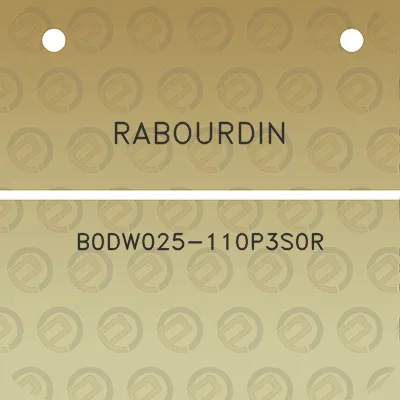 rabourdin-b0dw025-110p3s0r