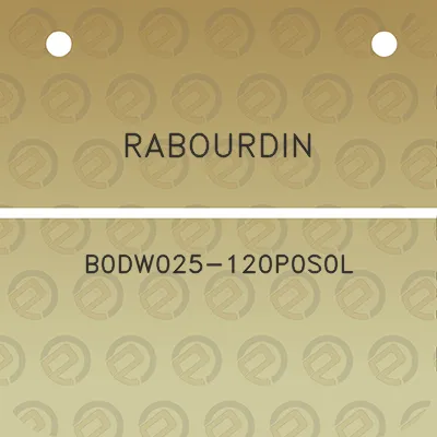 rabourdin-b0dw025-120p0s0l