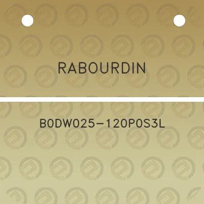 rabourdin-b0dw025-120p0s3l