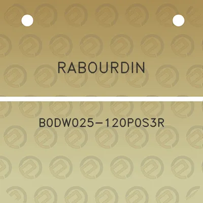 rabourdin-b0dw025-120p0s3r