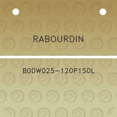 rabourdin-b0dw025-120p1s0l