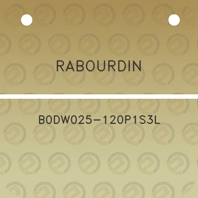 rabourdin-b0dw025-120p1s3l