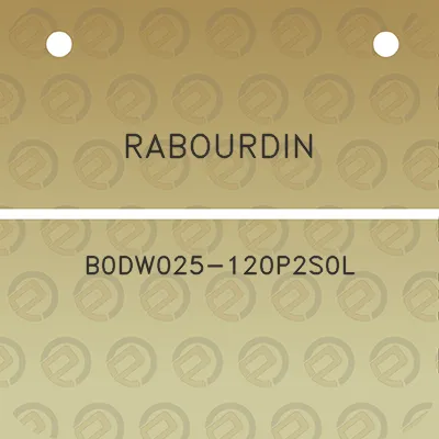 rabourdin-b0dw025-120p2s0l