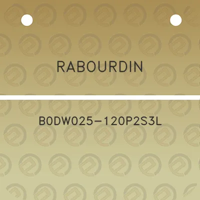 rabourdin-b0dw025-120p2s3l