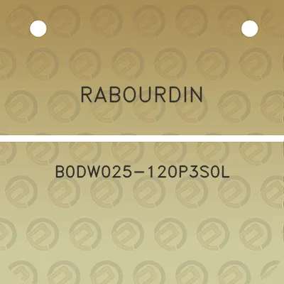 rabourdin-b0dw025-120p3s0l