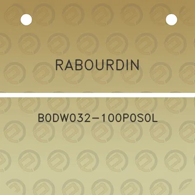 rabourdin-b0dw032-100p0s0l