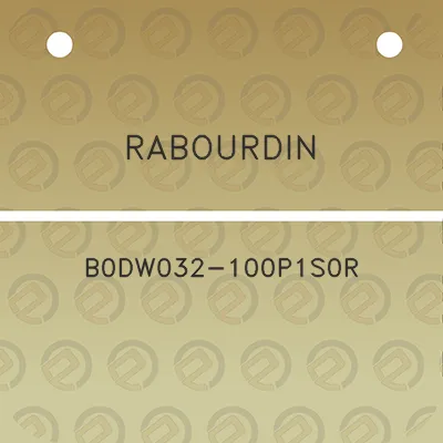 rabourdin-b0dw032-100p1s0r