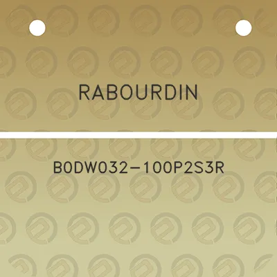 rabourdin-b0dw032-100p2s3r