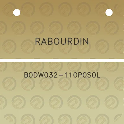 rabourdin-b0dw032-110p0s0l