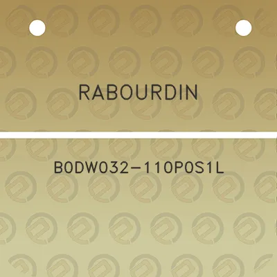 rabourdin-b0dw032-110p0s1l