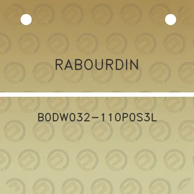 rabourdin-b0dw032-110p0s3l