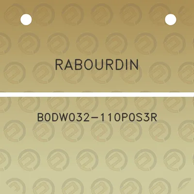 rabourdin-b0dw032-110p0s3r