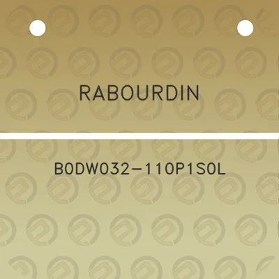 rabourdin-b0dw032-110p1s0l