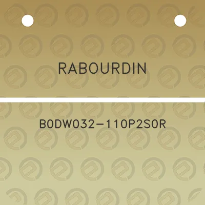 rabourdin-b0dw032-110p2s0r