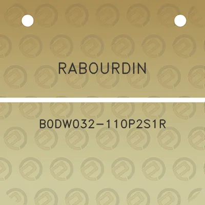 rabourdin-b0dw032-110p2s1r