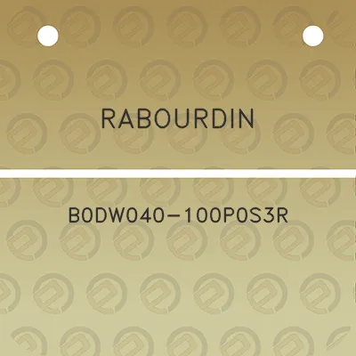 rabourdin-b0dw040-100p0s3r