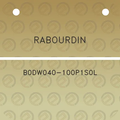 rabourdin-b0dw040-100p1s0l