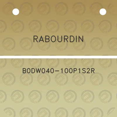 rabourdin-b0dw040-100p1s2r