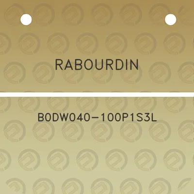 rabourdin-b0dw040-100p1s3l