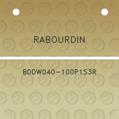rabourdin-b0dw040-100p1s3r