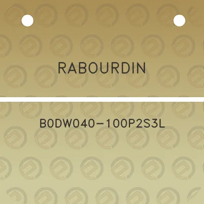 rabourdin-b0dw040-100p2s3l