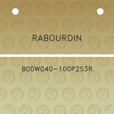 rabourdin-b0dw040-100p2s3r