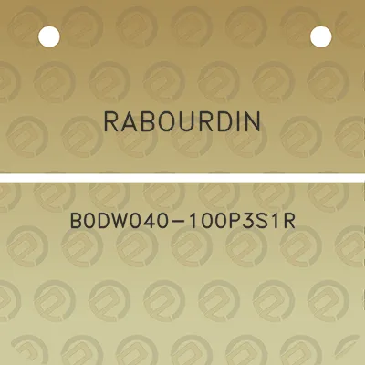 rabourdin-b0dw040-100p3s1r
