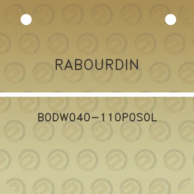 rabourdin-b0dw040-110p0s0l