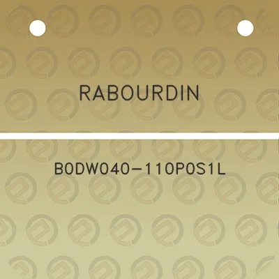 rabourdin-b0dw040-110p0s1l