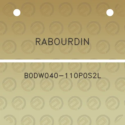 rabourdin-b0dw040-110p0s2l