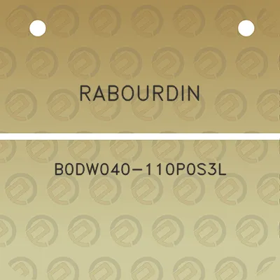 rabourdin-b0dw040-110p0s3l