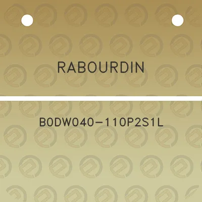 rabourdin-b0dw040-110p2s1l