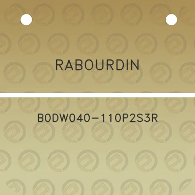 rabourdin-b0dw040-110p2s3r