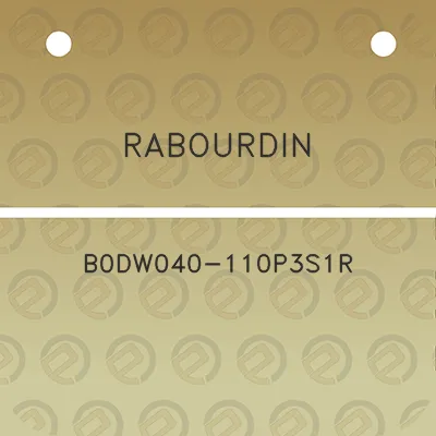 rabourdin-b0dw040-110p3s1r