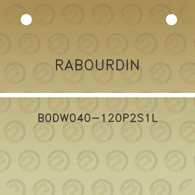 rabourdin-b0dw040-120p2s1l