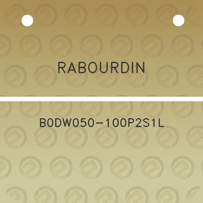 rabourdin-b0dw050-100p2s1l