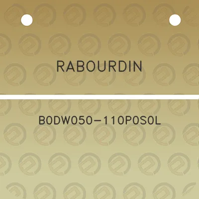 rabourdin-b0dw050-110p0s0l