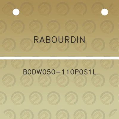 rabourdin-b0dw050-110p0s1l