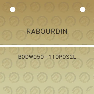 rabourdin-b0dw050-110p0s2l